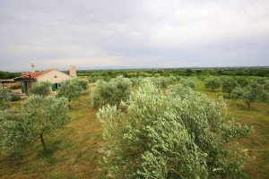 Off-grid Stone Home in Croatia