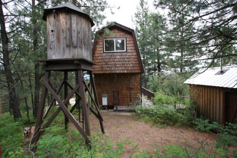 Off Grid Newport Cabin